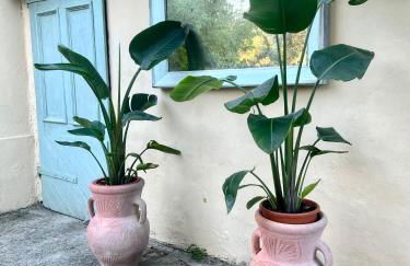 La Villa delle Rose - Photo 33