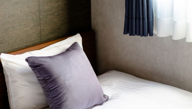 Oriya Mt.Fuji -Nishiki- - Foto 2, Habitación