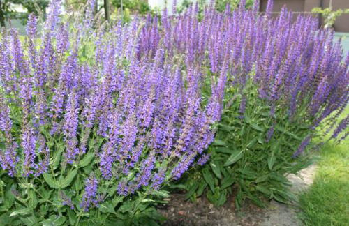 Ferienwohnung Lex - Foto 29