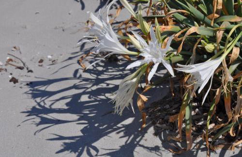 Villa Panorama - Foto 14