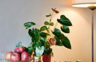 Torre Palombara - Dimora Storica - Foto 67