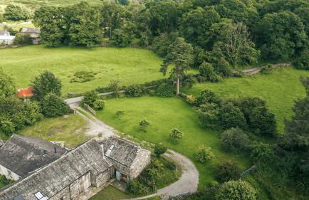 Green Yew - Photo 61