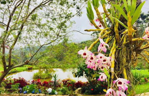 Casa do Lago Caparaó - Foto 71