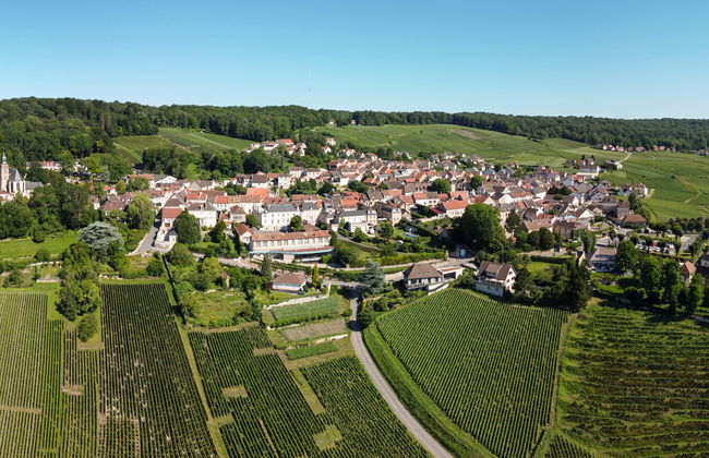 Visite sur le thème du champagne à Épernay, Hautvillers et Mareuil - Photo 1