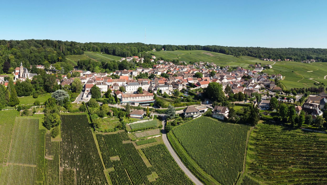 Visite sur le thème du champagne à Épernay, Hautvillers et Mareuil