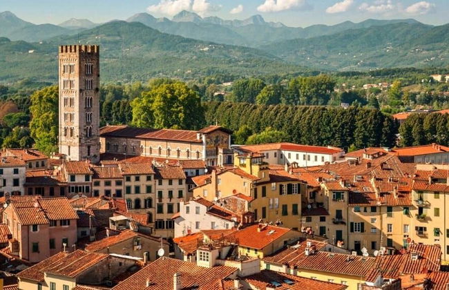 Agriturismo Campo al Sole - Foto 49