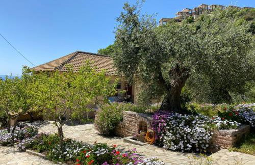 Oliveto e mare - Foto 42