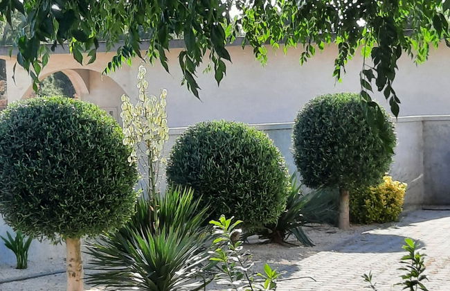 Apartment Stella Casa Bruno - Foto 1