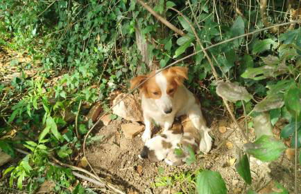 Casa dell'Antica Norba, Norma - big house - Photo 49