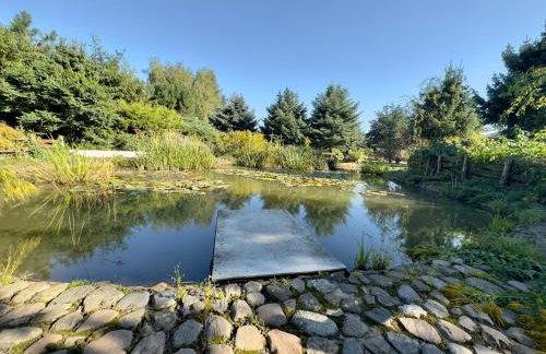 Domki Letniskowe Między Jeziorami w Lipnicy - Foto 16