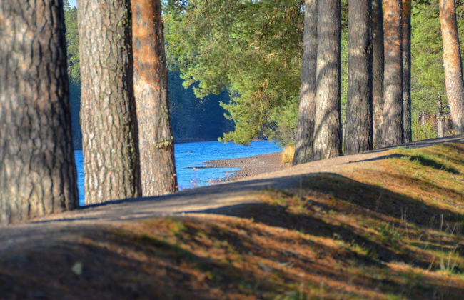 Älvdalens camping - Foto 65