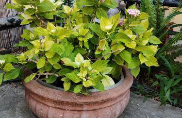 SOLMAR HOUSE - Photo 45