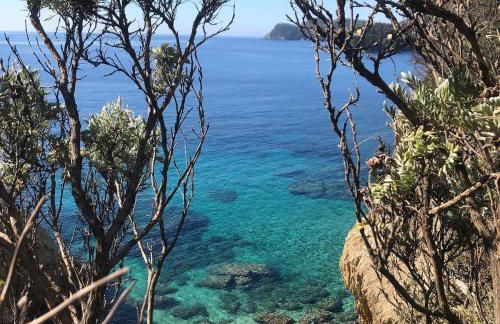 Studio au cœur de la Napoule, plages et village à pied - Foto 14