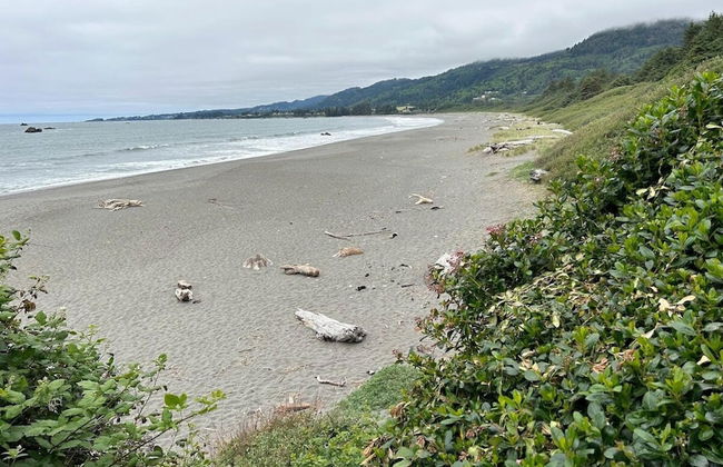 Oceanview Cabin 19 Jacuzzi Large Deck w Seating - Foto 15