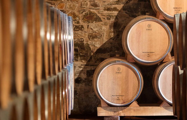 Visita a Viñedos y Bodegas Pittacum - Foto 1