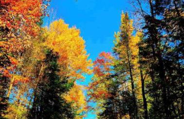 12364 Crivitz - Foto 17