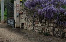 Colle Perazzoni - Foto 62