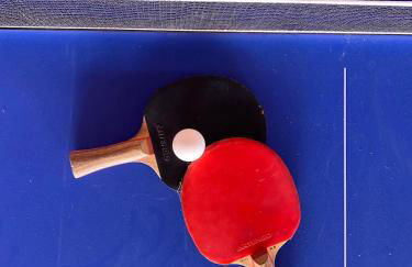 Casa da Mata - Foto 50