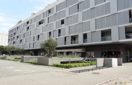 Cvit Jadrana - Foto 26