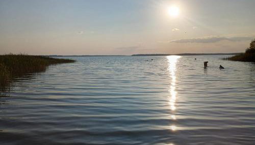 Haus am Loppinsee - Photo 4