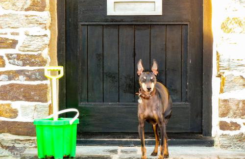 Gwel an Heyl, Padstow - Foto 48