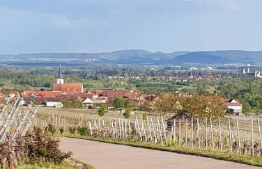 Ferienwohnung An der Dorfmauer - Foto 36