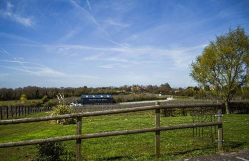 Periwinkle No5 - Uk49249 - Foto 12