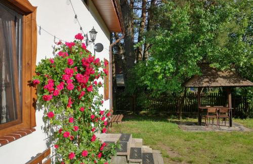 Wigierska Chatka - Foto 15