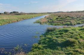 Agroturystyka u Janeckich - Foto 15