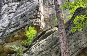 Cosis Ferienwohnung - Foto 57