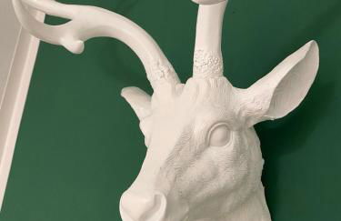 Ferienwohnung Waldrand bei Geyer -Saal an der Donau- - Foto 15