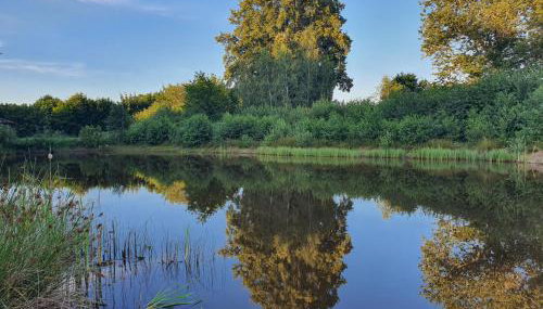 Dom wczasowy , nad jeziorem z możliwością wędkowania do 7 osób - Foto 4