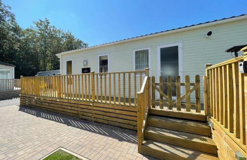 Discover, Enjoy Ultra-Fast Starlink WiFi Lodge - Foto 9