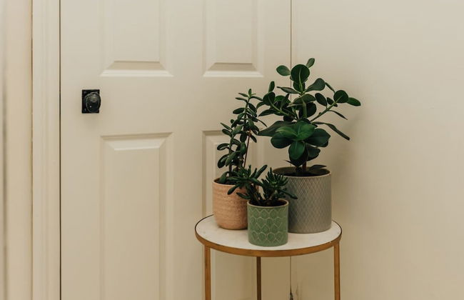 Badgemore Cottage - From 250 Per Night - Foto 16