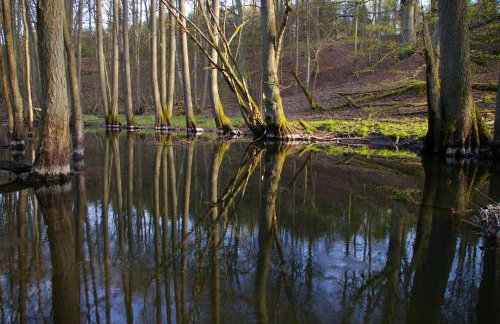 Dom Gościnny Rzeczna 4 - Foto 68