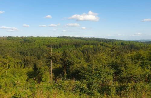 Forest Cedar Lodge, Forest of Dean - Foto 63