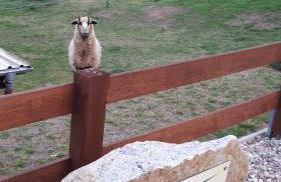 Hof Richert - Foto 3