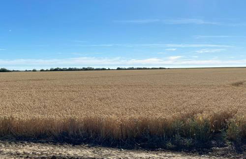 Ferienhaus Sundowner FH6 - Foto 18