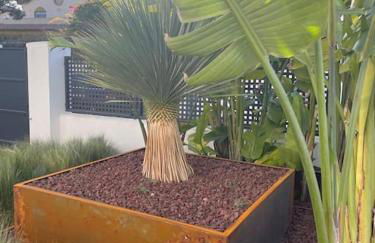 Villa Cactae - Foto 62