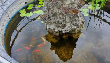 Kleines Glück - Foto 3