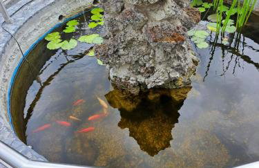 Kleines Glück - Foto 3