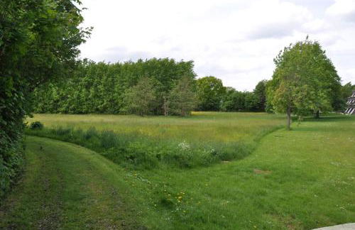Studiowohnung-Bernstein - Foto 13