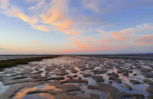 Ebbe und Flut - Foto 25