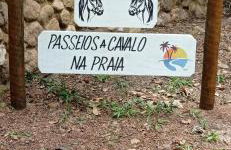 CASA VAHIANA - Foto 47