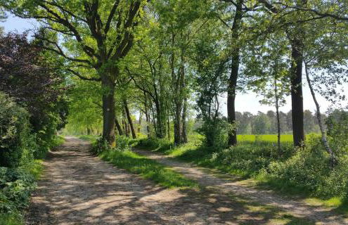 Heideträume Appartements - Foto 27