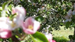 Bobrowe zacisze - Foto 4