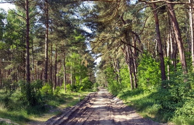 Holiday Home in the Countryside, Dzierzecin - Photo 19