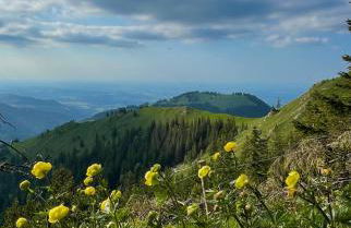 Ferienwohnung Allium - Foto 7