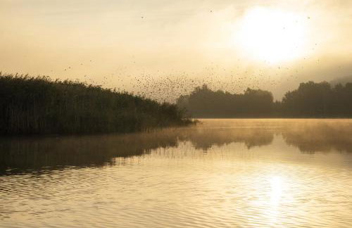 Agroturystyka Stawno49 - Foto 53