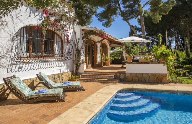 Mirlo Canta - Foto 28